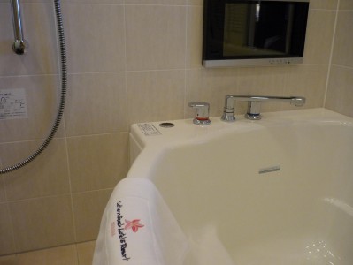 bathroom2