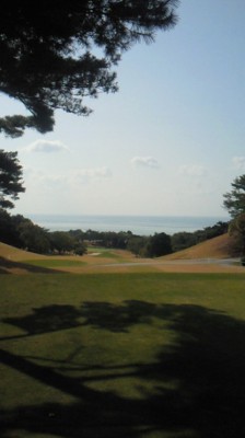 image_3.jpg