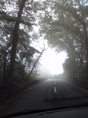 Image944 Image944.jpg