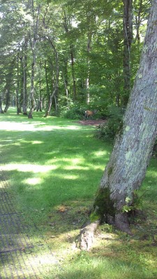 201108241254000 201108241254000.jpg