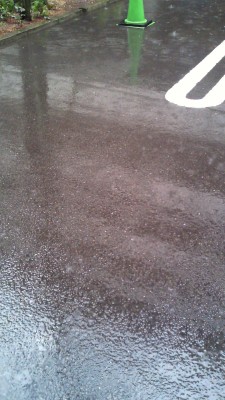 201203180836001 201203180836001.jpg