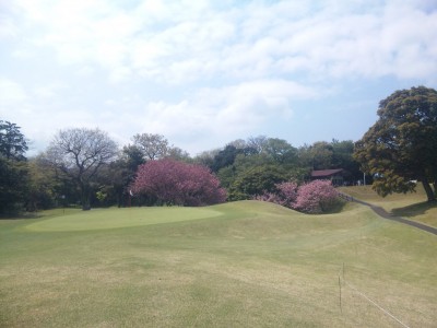 SBSH0237 SBSH0237.JPG