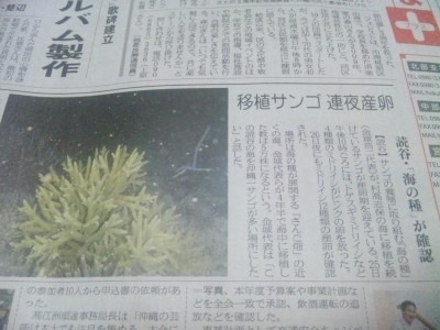 SBSH0358 SBSH0358.JPG